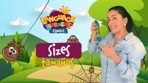'Sizes in spanish | Language Learners'