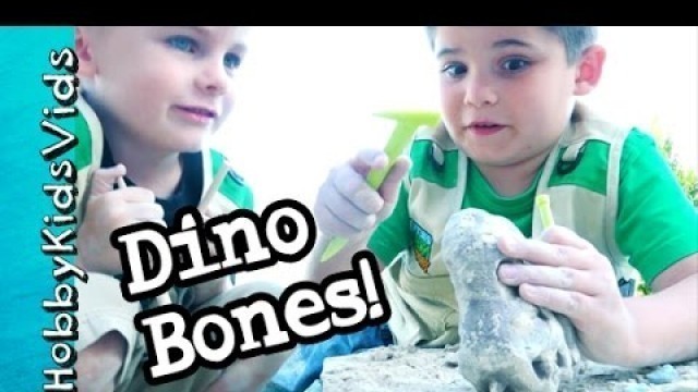 'Dig Up Dinosaur Bones JURASSIC WORLD! HobbyBobby by HobbyKidsVids'