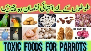 'Parrot Food List | Parrot Unhealthy Food | Toxic Food For Parrots | Unhealthy Parrot Food'