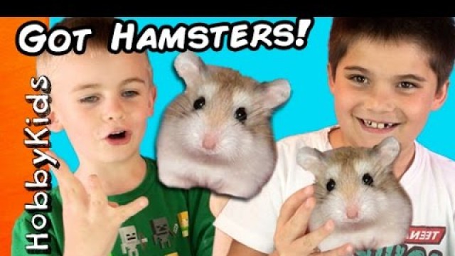 'HobbyKids Buy Hamsters! Petco Toy Shopping Haul HobbyKidsTV'