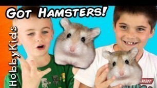 'HobbyKids Buy Hamsters!  Petco Toy Shopping Haul HobbyKidsTV'