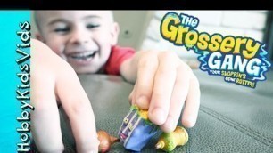 'Grossery Gang Toy Collection! Playtime Family Fun with ULTRA RARE Tiny Toys HobbyKidsVids'