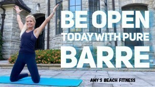 'Pure Barre Workout for Openness - 15 MIN'