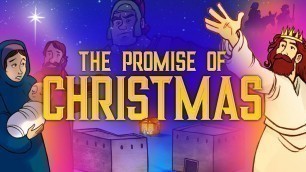 'Bible Christmas Stories: Promise of Christmas - Matthew 1 | Online Sunday School | Sharefaith Kids'