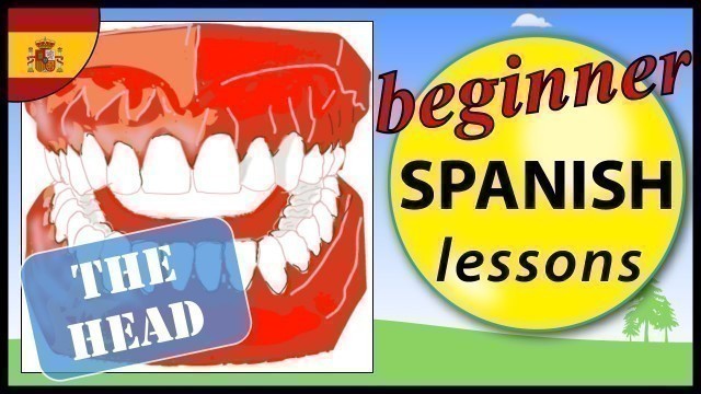 'Parts of the head in Spanish | Beginner Spanish Lessons for Children'