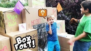 'Make a Box Fort Art with HobbyKids! HobbyVloggy with HobbyFamily'