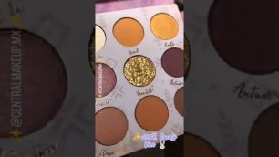 '✨Paleta Anna 