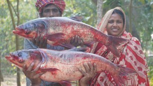 '15 KG BIG SIZE BRIGADE FISH RECIPE!! Giant Fish Cooking & Eating Easy Dinner Recipes For Old People'