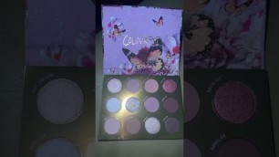 'Flutterby palette by Colourpop 