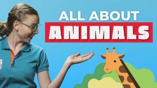 'All about animals: Spanish Vocabulary for Elementary Kids | Spanish Lessons'