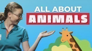 'All about animals: Spanish Vocabulary for Elementary Kids | Spanish Lessons'