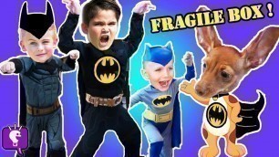 'BATMAN ADVENTURE! Imaginext Toys REVIEW and Play with HobbyKidsTV'