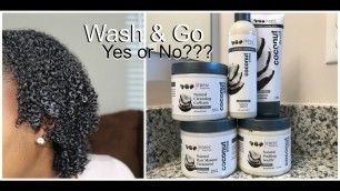 'Wash & Go Yes or No??? Ft. Eden BodyWorks Coconut Shea'