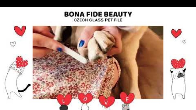 'Pet Nail File for Paw Grooming - Bona Fide Beauty Czech Glass Nail File for Dogs, Cats, Birds'