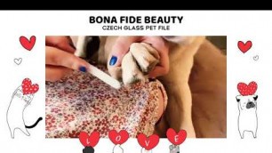 'Pet Nail File for Paw Grooming - Bona Fide Beauty Czech Glass Nail File for Dogs, Cats, Birds'