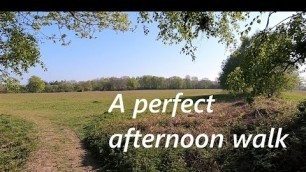 'Walking In English Countryside On A Spring Day | Treadmill Workout Scenery UK'