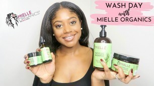 'RELAXED HAIR WASH DAY WITH MIELLE ORGANICS ROSEMARY MINT COLLECTION ~ Review | Healthy Hair Junkie'