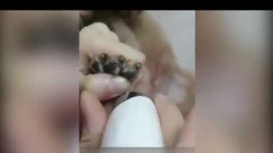 'Rechargeable Portable Dog Cat Nails Trimmer Clipper Care Electric Grooming Pet Nail Grinder Cutter'