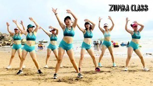 Aerobic Class Workout l Fat burning, high intensity on the beach l Zumba Class