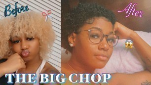 BIG CHOP 2020: Starting New Natural Hair Journey