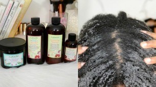 Just Natural African American Hair Kit | Product Demo & Review | Prepoo & Wash  Natural Hair