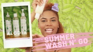 SUMMER WASH AND GO ROUTINE ON DAMAGED NATURAL HAIR ft. ALODIA HAIR CARE | Adrienne Alyse