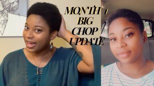 Month 1 Update of Big Chop | How is my Growth?