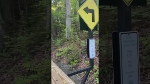 A Walk in the Woods with APHA's president