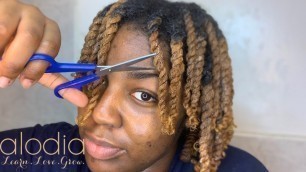 How To Get Juicy Two-Strand Twists ft. Alodia Haircare