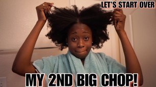 2ND BIG CHOP AFTER 6 YEARS NATURAL! 4C NATURAL HAIR JOURNEY | TYPE 4 HAIR