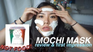 'Shiseido WASO Silky Smooth Mochi Mask Review'