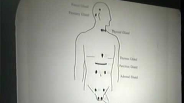 Dr. Llaila Afrika | Holistic Health 101