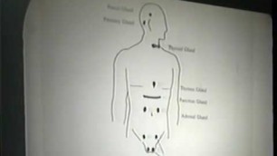 Dr. Llaila Afrika | Holistic Health 101