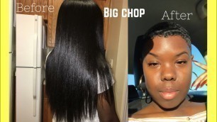 6 month big chop ✂️ update 2020 | Regrets ? | Plus tips for your twa (big chop)