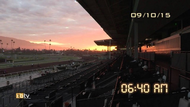 Training with the Stars: American Pharoah Day 1