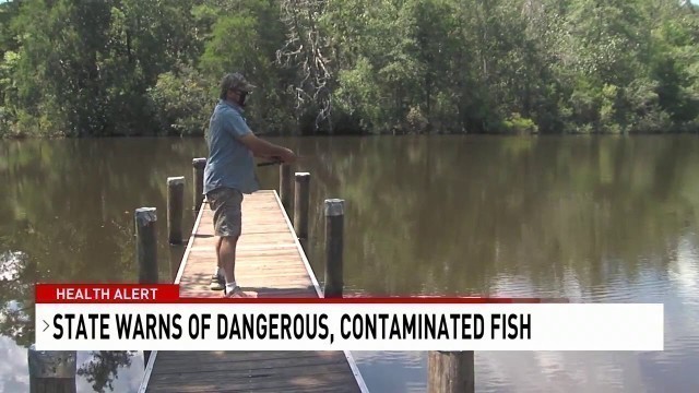 AL health officials: 'Don't eat the fish' in Mobile and Baldwin Co. creeks and rivers - NBC 15 WPMI