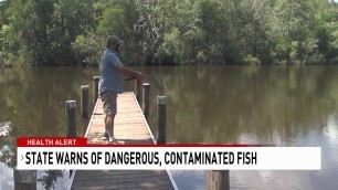 AL health officials: 'Don't eat the fish' in Mobile and Baldwin Co. creeks and rivers - NBC 15 WPMI