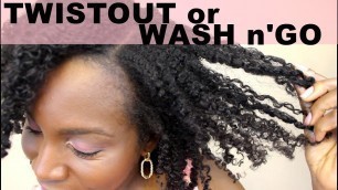 'Twistout OR Wash and Go Natural Hair | Eden Bodyworks Pudding Souffle, Sarenzo Leave In #NaturalHair'