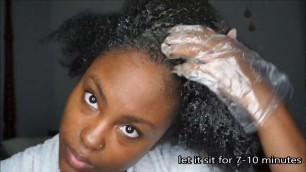 GREY TO BLACK! DEITY AMERICA NATURAL HAIR COLOR CHANGING SHAMPOO | @MEEKFRO