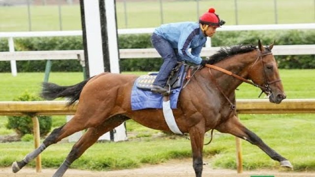American Pharoah Workout/Analysis: 9/27/15