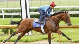 American Pharoah Workout/Analysis: 9/27/15