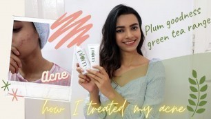 New Skincare Routine For Acne Prone skin With The Plum Goodness Green Tea Range!! (Not Sponsored)
