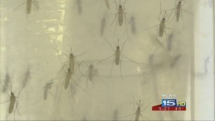 Local health officials ready for Zika threat