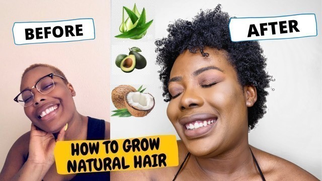 How to Grow Type 4 Hair + My Natural Hair Journey (Big Chop) Jamaican Black Castor Oil