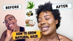 How to Grow Type 4 Hair + My Natural Hair Journey (Big Chop) Jamaican Black Castor Oil