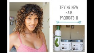 'Trying Curly Hair Products - Eden BodyWorks & my DIYs'