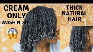 'CREAM ONLY Wash N Go on THICK NATURAL HAIR | Eden BodyWorks'