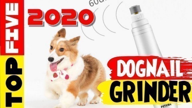 'Top 5 Best | Unique Dog Nail Grinders 2020 | dog nail grinder'