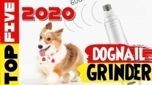 'Top 5  Best | Unique Dog Nail Grinders 2020 | dog nail grinder'