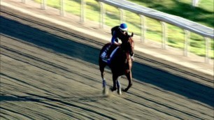 105 AMERICAN PHAROAH WORKOUT 731 1